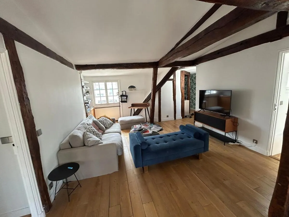 Luxurious Apartment Palais De L'Elysee Paris France