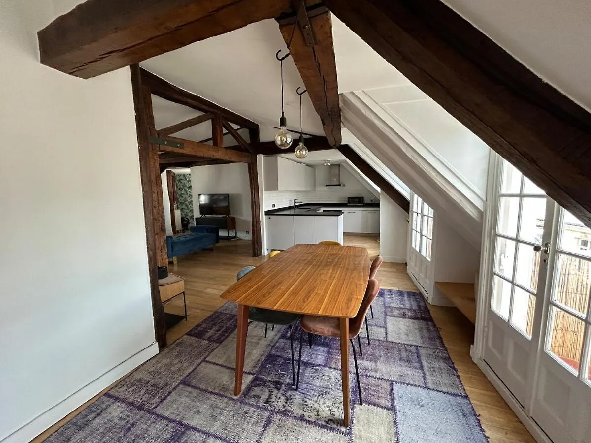 Luxurious Apartment Palais De L'Elysee Paris France