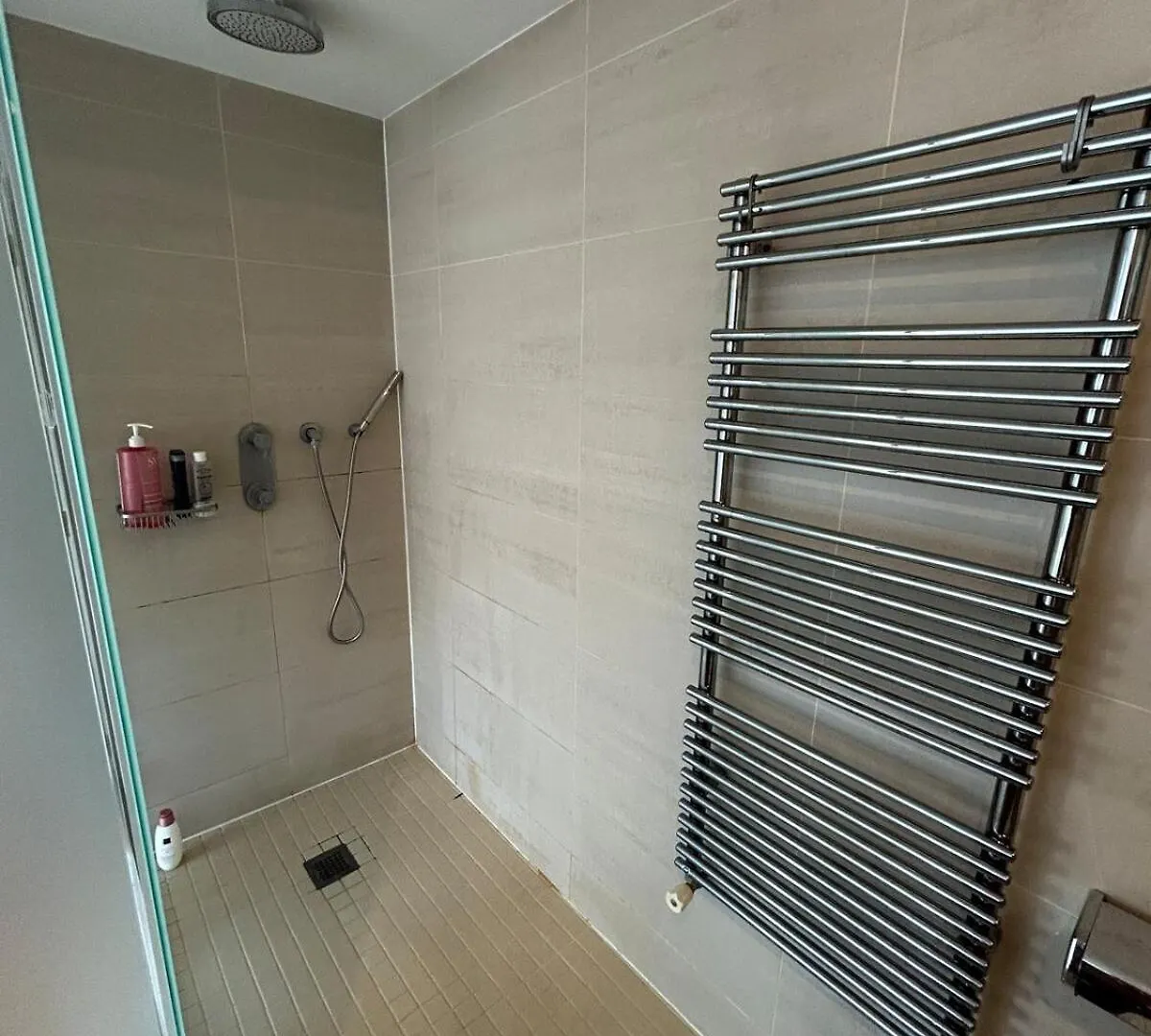 Luxurious Apartment Palais De L'Elysee Paris France