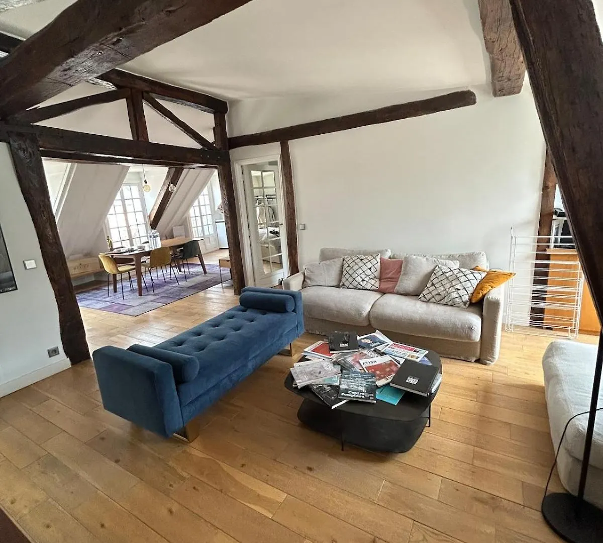 Luxurious Apartment Palais De L'Elysee Paris